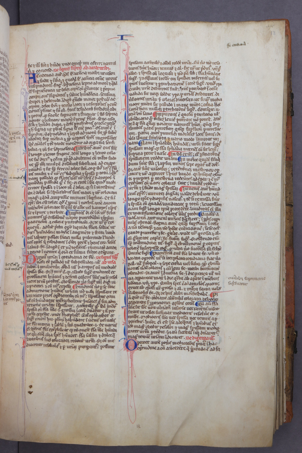 Folio 13 recto